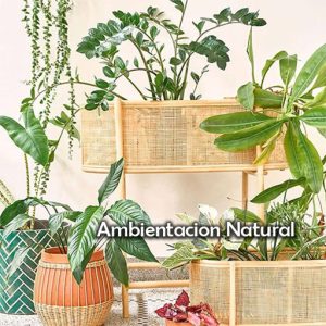 AMBIENTACION NATURAL