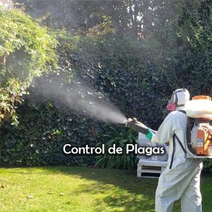 CONTROL-DE-PLAGAS