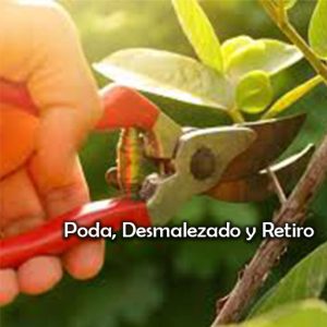 PODA